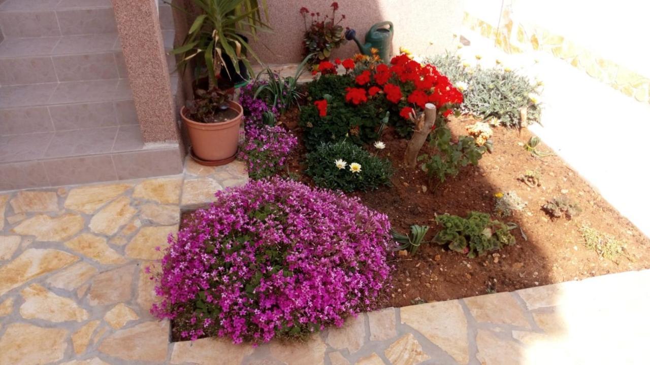 ויר Apartmani Matovina מראה חיצוני תמונה
